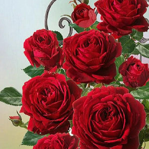 Pretty Red Roses Paint by Diamonds