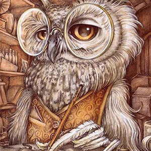 Professor Owl Paint by Diamonds