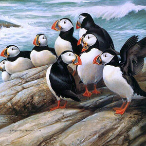 Puffins Painting Kit