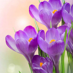 Purple Floral Beauty Paint by Diamonds