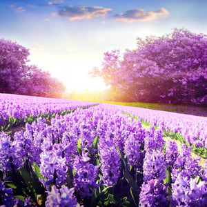 Purple Lavender Fields Diamond Painting