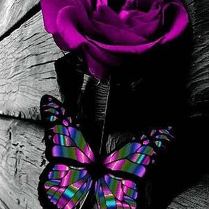 Purple Rose & Butterfly Diamond Painting