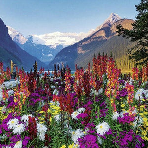 Ravens burger Flowery Mountains Diamond Painting