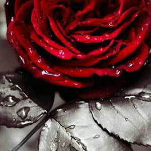 Rose DIY Diamond Painting