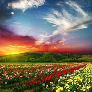 Red Sky & Flowers Beds Diamond Painting Kit