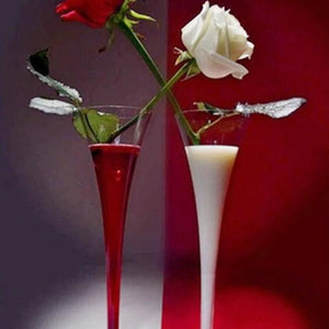 Red & White Roses DIY Painting Kit