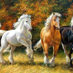 Horses Diamond Painting Kit
