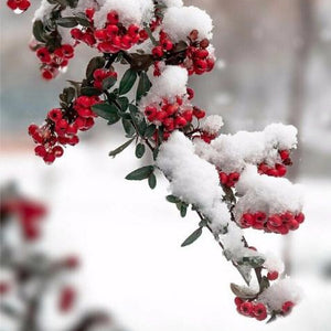 Russian Winter & Snow on Flower Diamond Painting