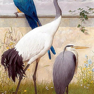 Sand Hill crane & Parrot Paint by Diamonds