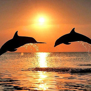 Sea Dolphins & Sunset View Diamond Painting Kit