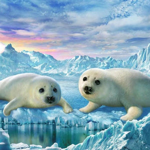 Seals Pair Diamond Painting Kit