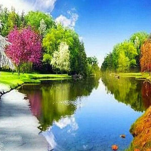 Seasons Diamond Painting Kit