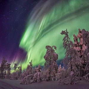 Shinning of the North Paint by Diamonds