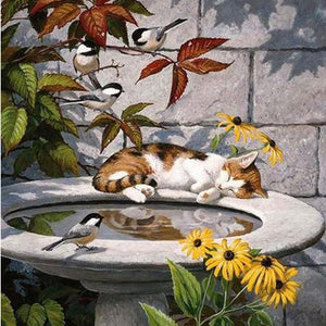 Sleeping Cat & Birds Diamond Painting