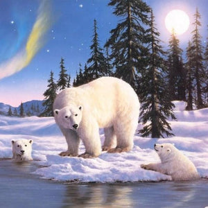 Snow Bears Family Paint by Diamonds