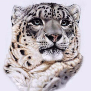 Snow Leopard Face Paint by Diamonds