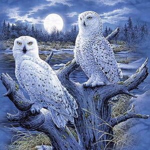 Snow Owls Pair Paint by Diamonds