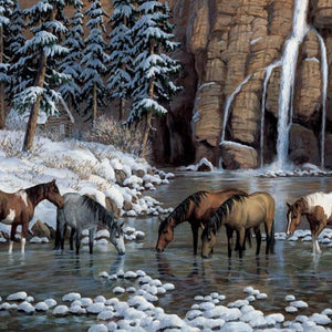 Wild Horses Paint by Diamonds
