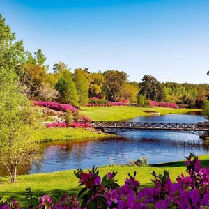 Spring Park View Paint by Diamonds