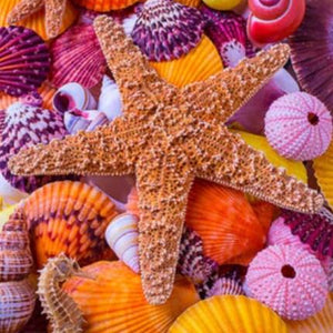 Star Fish Paint by Diamonds