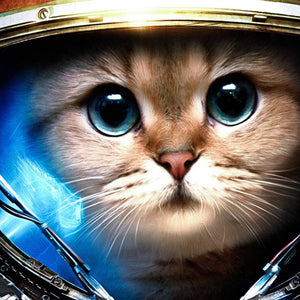 Kitten Full Drill Painting