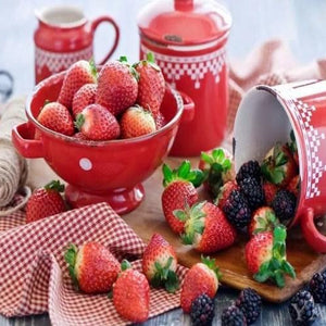 Berries DIY Diamond Painting