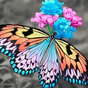 Butterfly Paint by Diamonds