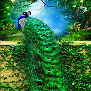 Peacock Paint by Diamonds