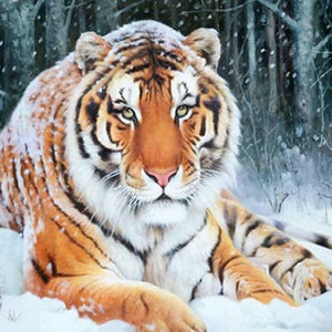Stunning Tiger Under Snowfall Diamond Painting