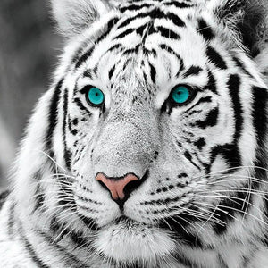 White Tiger 3D Full Drill