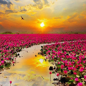 Flower Fields Painting Kit