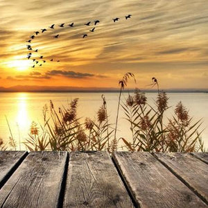 Sunset Lake Paint by Diamonds