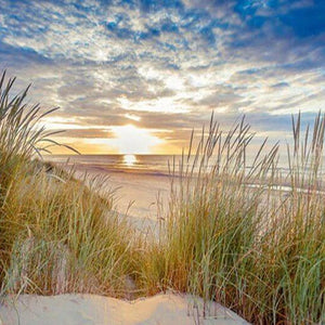 Sunset Landscape Painting Kit