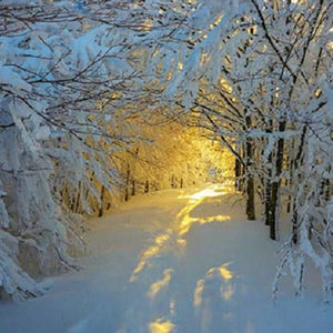 Snowy Forest Diamond Painting