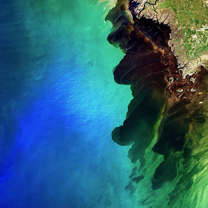 Suwanee Backwater River Meets the Sea Diamond Painting