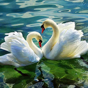 Swan Couple Diamond Painting