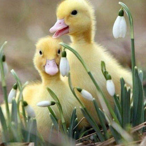 Ducklings Diamond Painting Kit