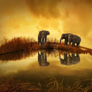 Thailand Elephants Diamond Painting Kit