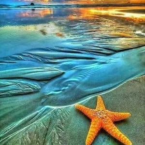 The Starfish on the Beach Paint by Diamonds