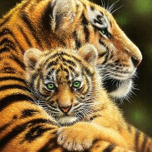 Tiger & Cub Hugging Paint by Diamonds