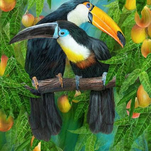 Toucans Pair Diamond Painting Kit