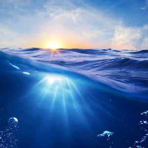 Under Water Ocean Paint by Diamonds