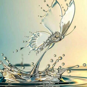 Butterfly DIY Painting Kit