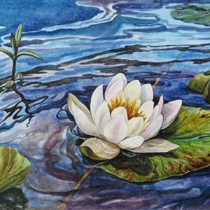 Water Lilly Paint by Diamonds