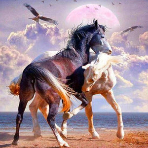 White & Black Horse Pair Diamond Painting