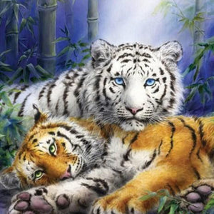 White & Brown Tigers Paint by Diamonds