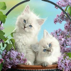White Cats with Blue Eyes Diamond Painting Kit