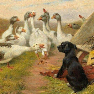 Goose Diamond Painting Kit