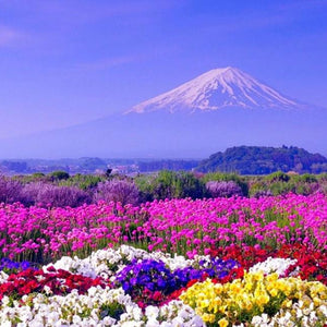 White Mountain & Colorful Flowers Diamond Painting