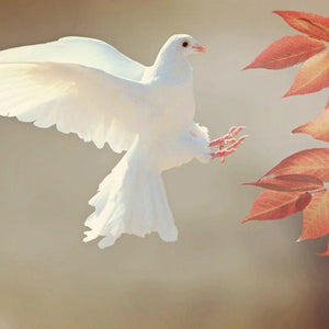 White Pigeon & Autumn Leaves Diamond Painting Kit